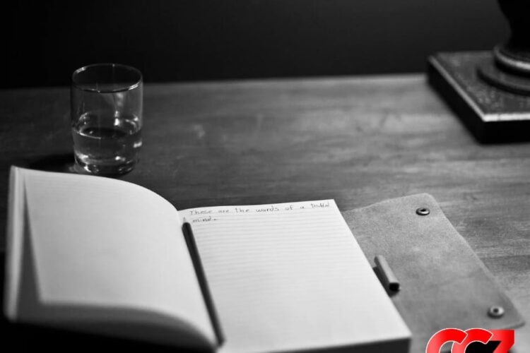 writing a logline, script outline, writing the screenplay